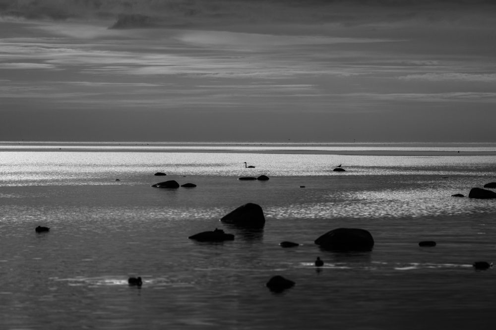 Photograph by Sergei Komlev