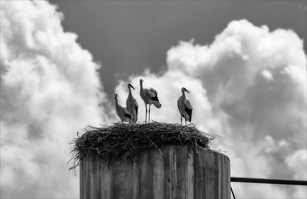 ЖАРКОЕ ЛЕТО ИЮЛЯ