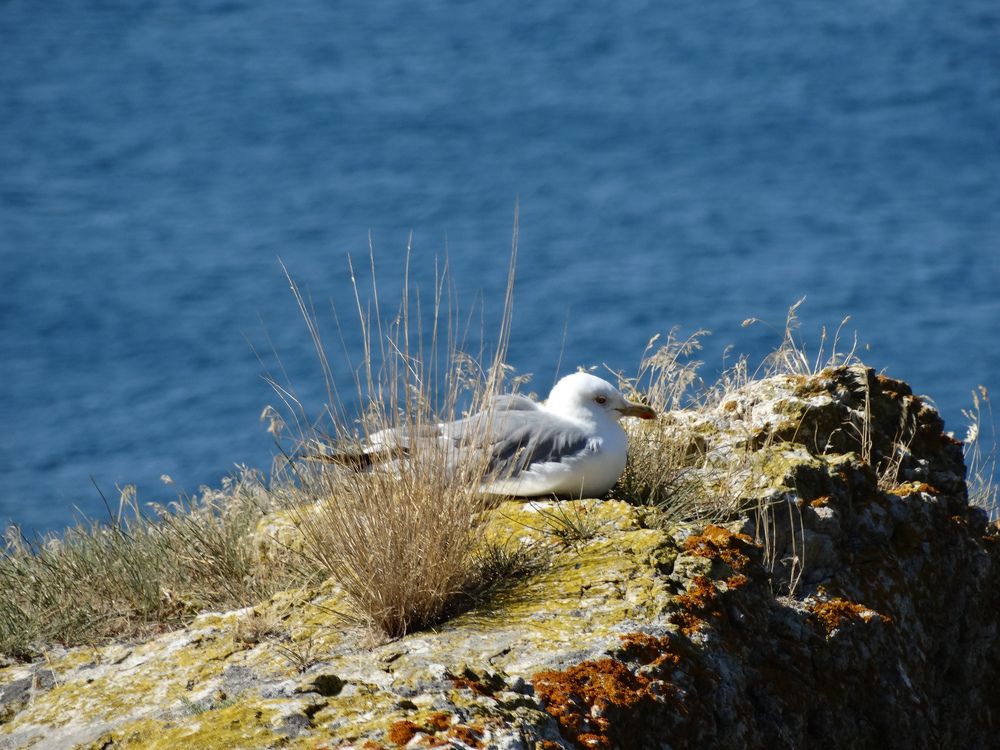 Photograph by Артём Таначёв