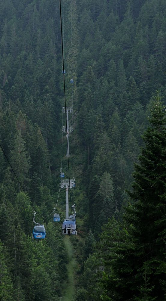 Photograph by Taтьяна Войлокова