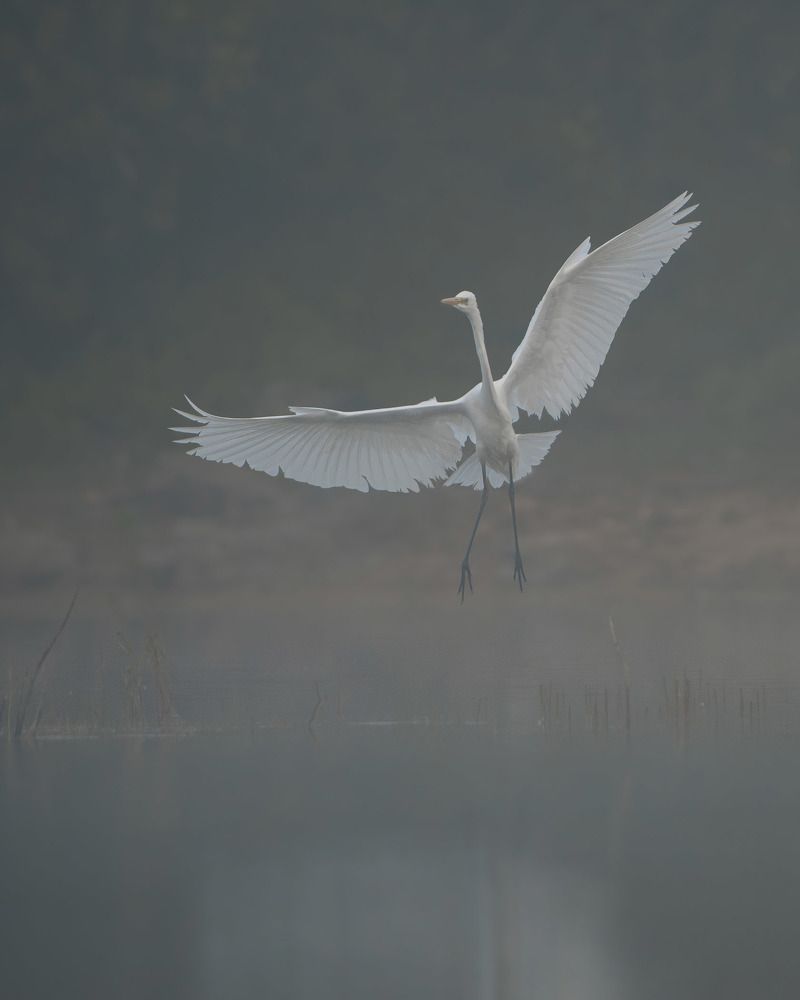 Photograph by Andrew Kuprin