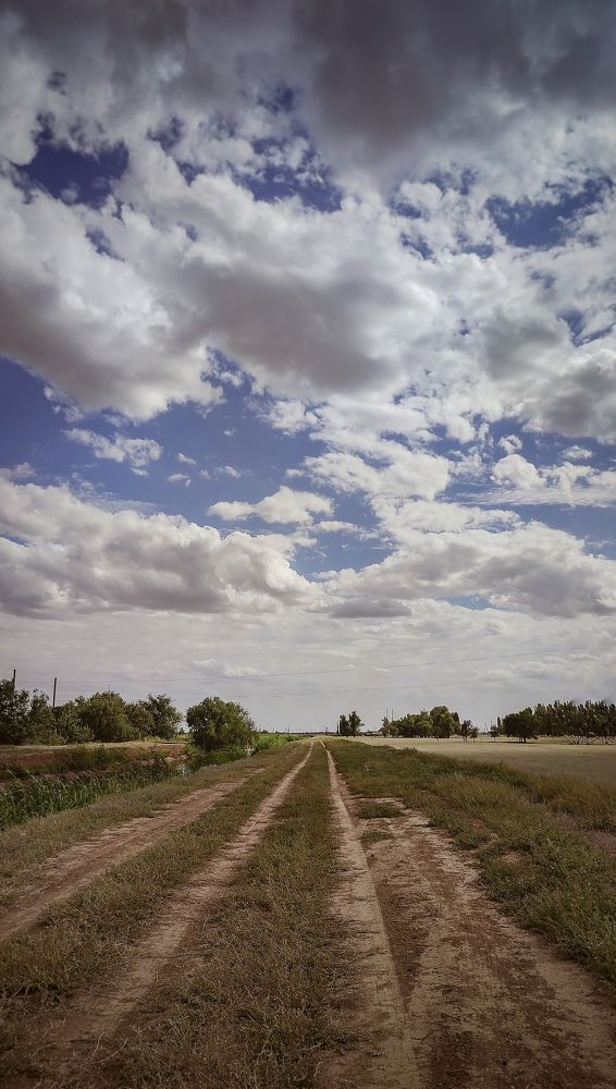 Фотография автора Анастасия Мамаева