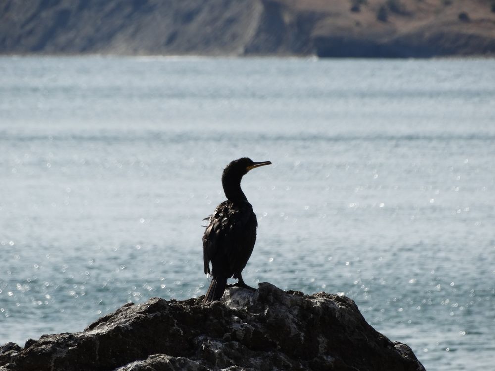 Photograph by Артём Таначёв