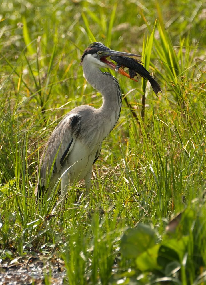 Photograph by Игорь Щербаков