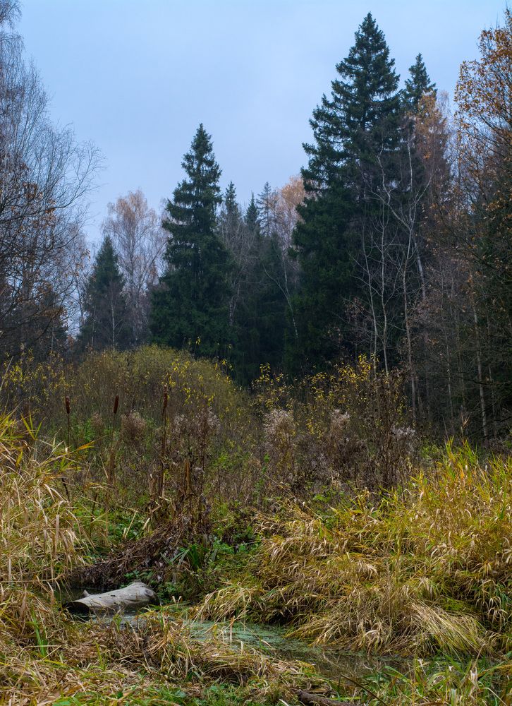 Осеннее настроение