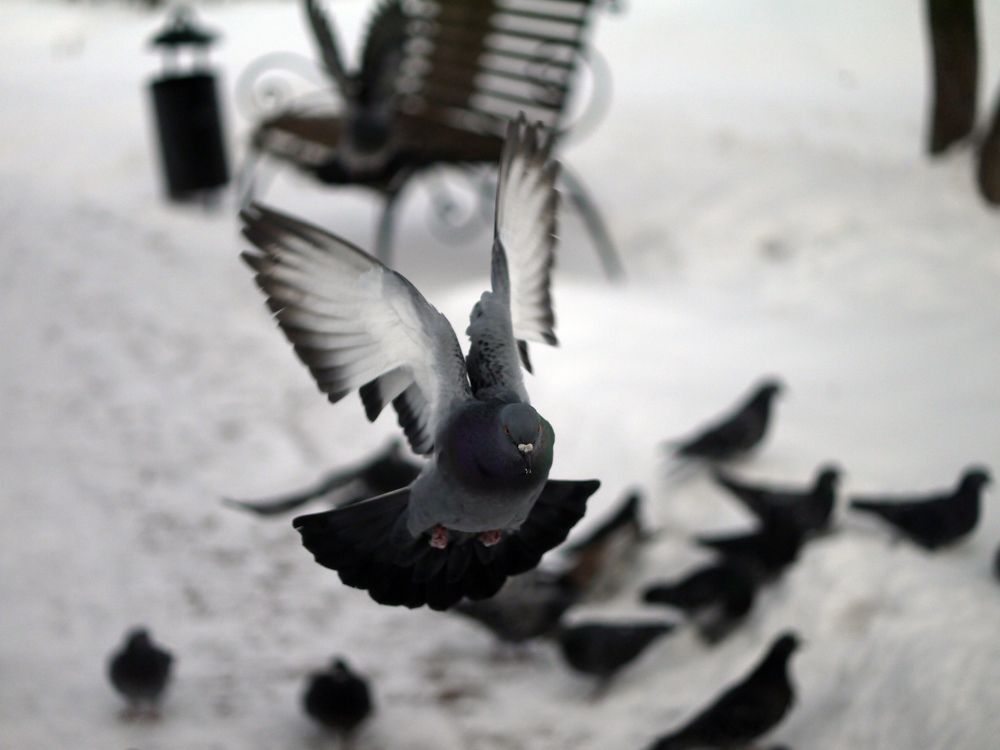 Photograph by Баженова Наталья