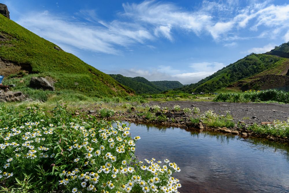 Фотография автора Мария Рохмистрова