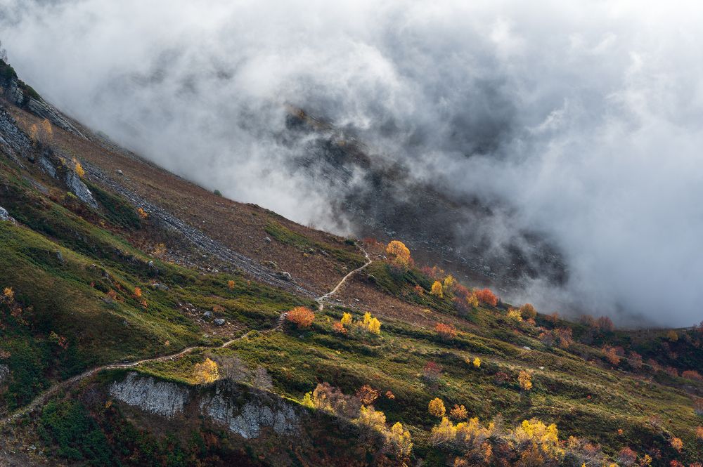 Photograph by Валерий Одинцов