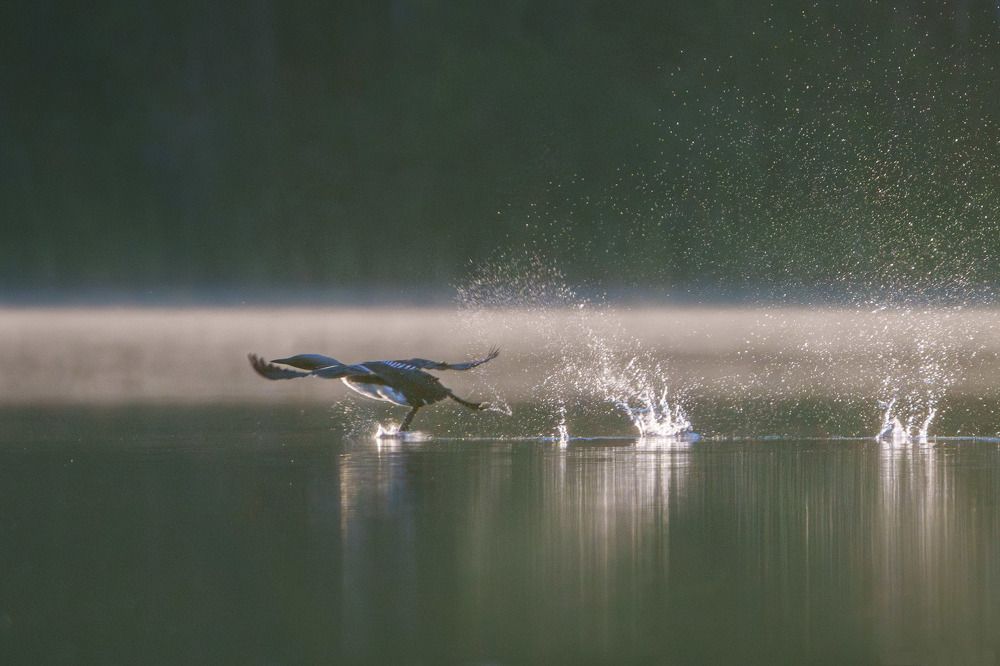 Photograph by Andrew Kuprin