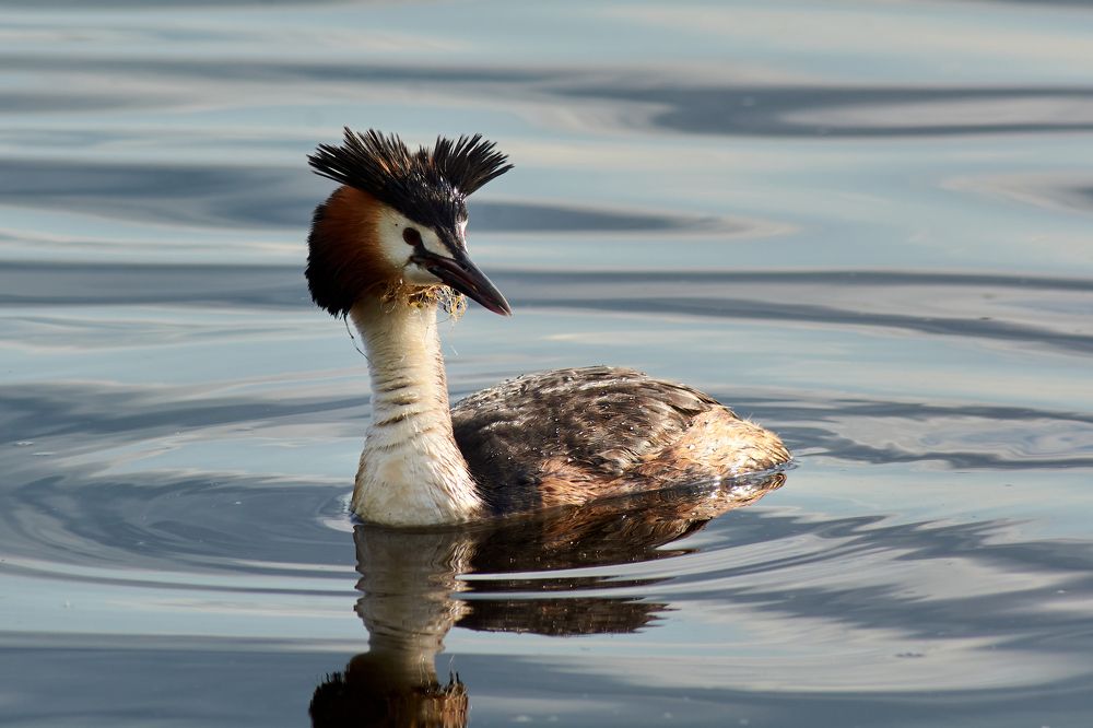 Photograph by Андрей Мольков