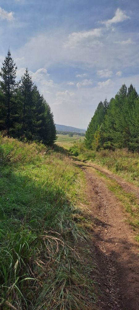 Photograph by Александра Насырова