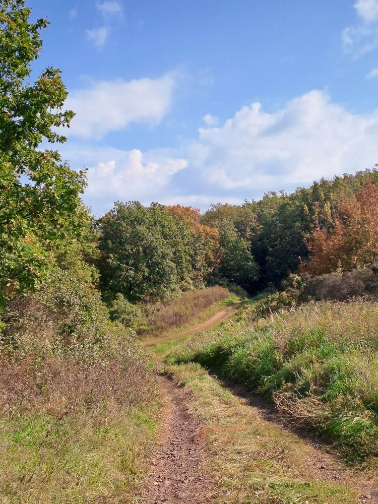 Photograph by Александра Насырова