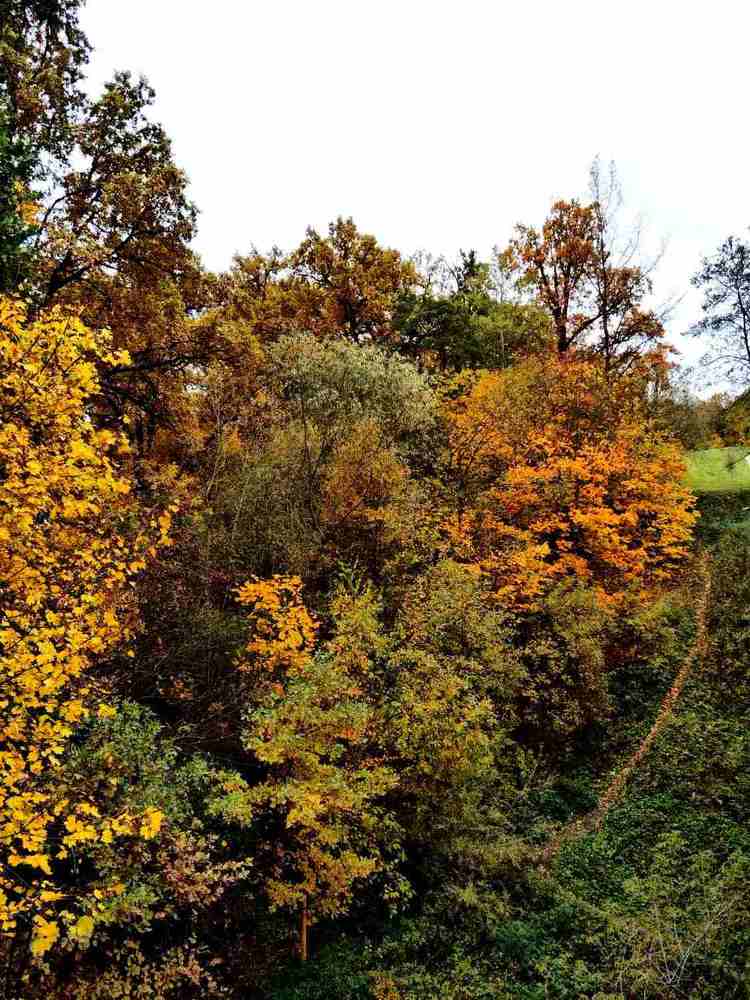 Photograph by Татьяна Солтан