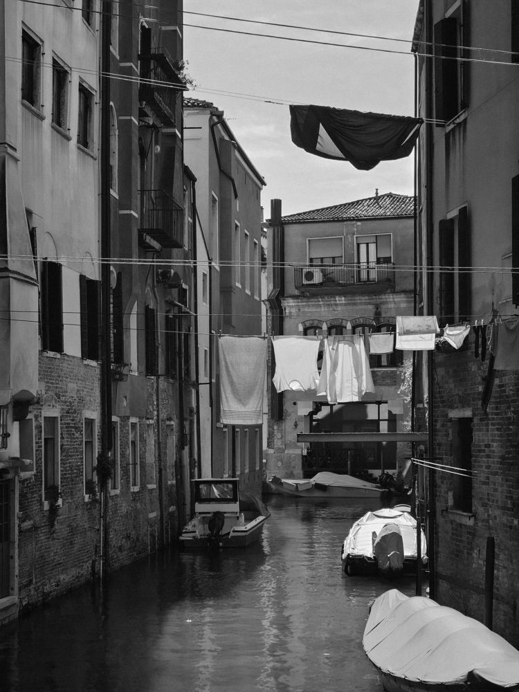 Photograph by Dana Shelkovnikova