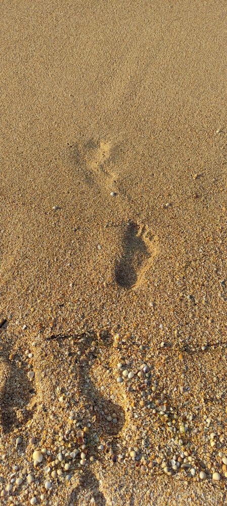 Фотография автора Васильева Ирина