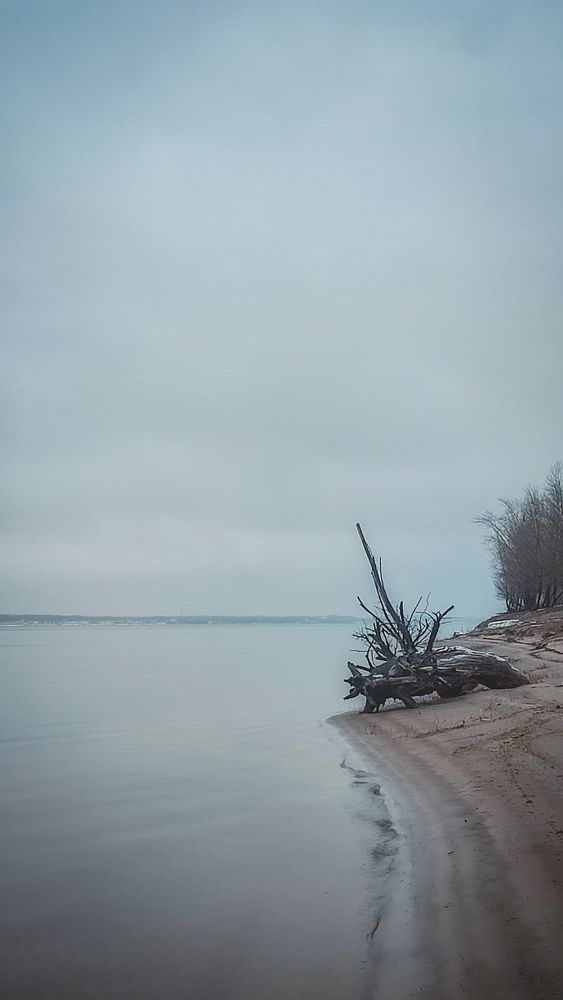 Фотография автора Анастасия Мамаева