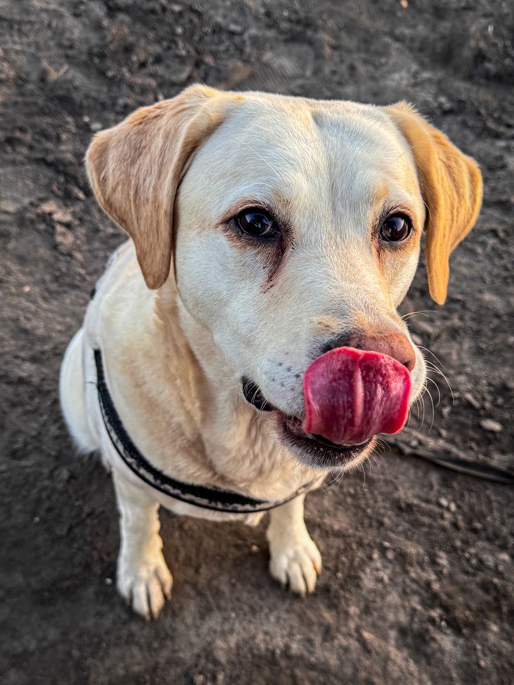 Photograph by Maria Julieta ZURZOLO