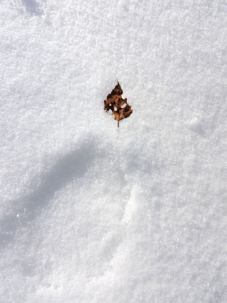 След осени / Trace of autumn