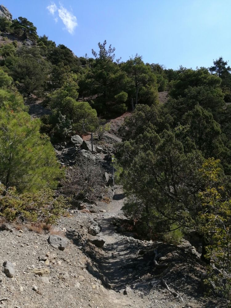 Photograph by Артём Таначёв