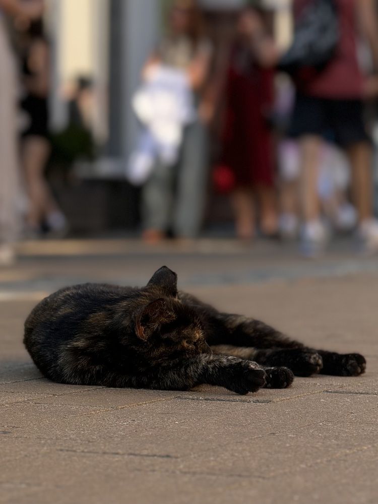 Photograph by Zhanna Kolesnikova