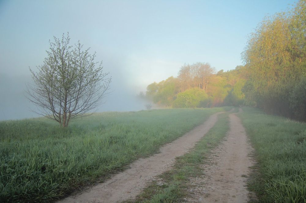 Photograph by Екатерина Родина