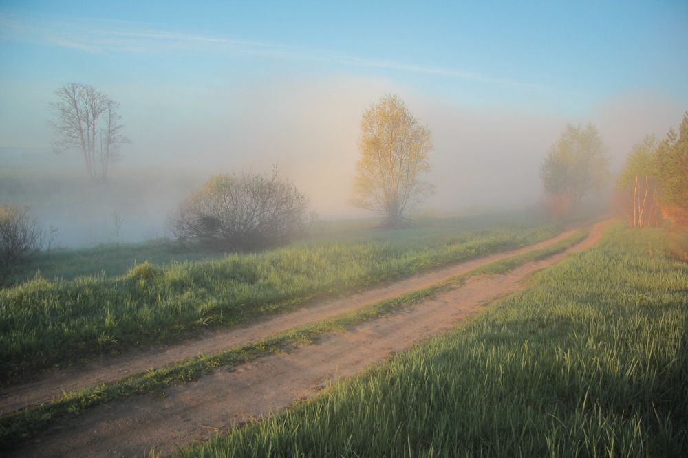 Photograph by Екатерина Родина
