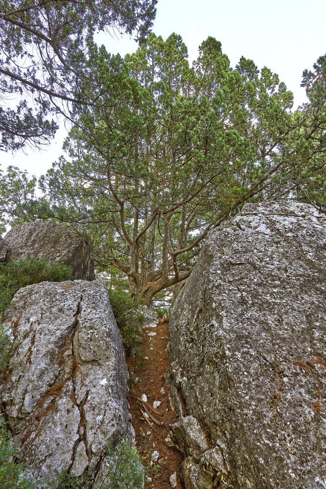 Photograph by Игорь Зиновьев