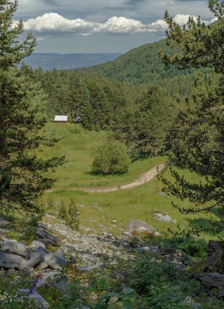 Photograph by Taтьяна Войлокова