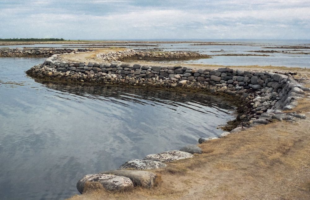 Photograph by Екатерина Родина