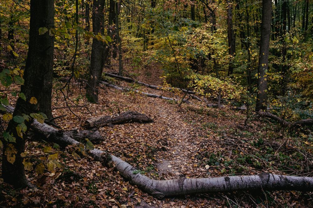 Photograph by Андрей Серый