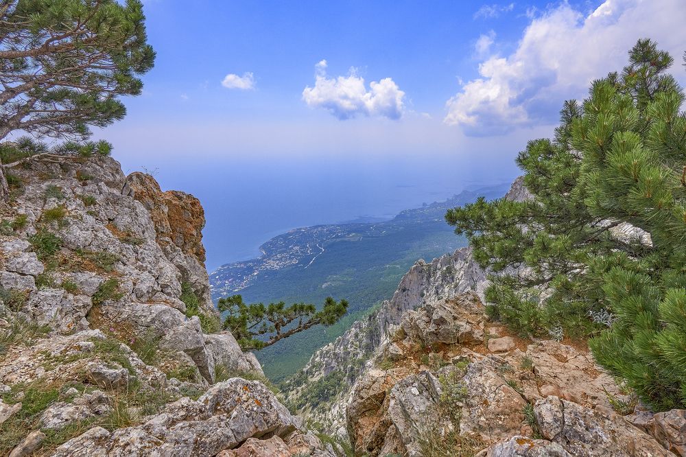 Photograph by Игорь Зиновьев