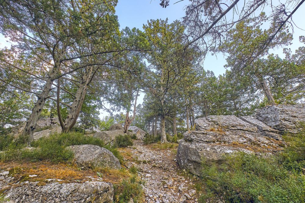 Photograph by Игорь Зиновьев