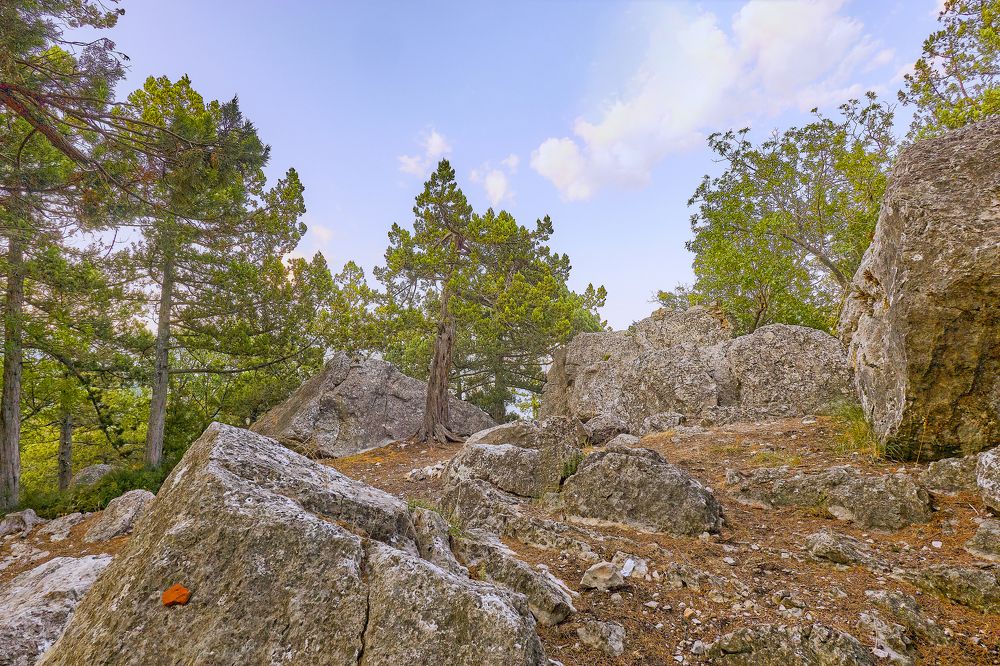 Photograph by Игорь Зиновьев