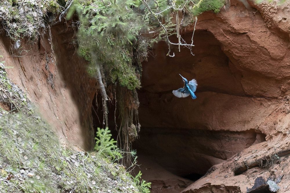 Фотография автора Tatyana Zorina