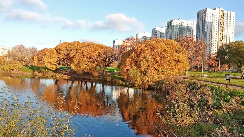 Photograph by Tatyana Semenova