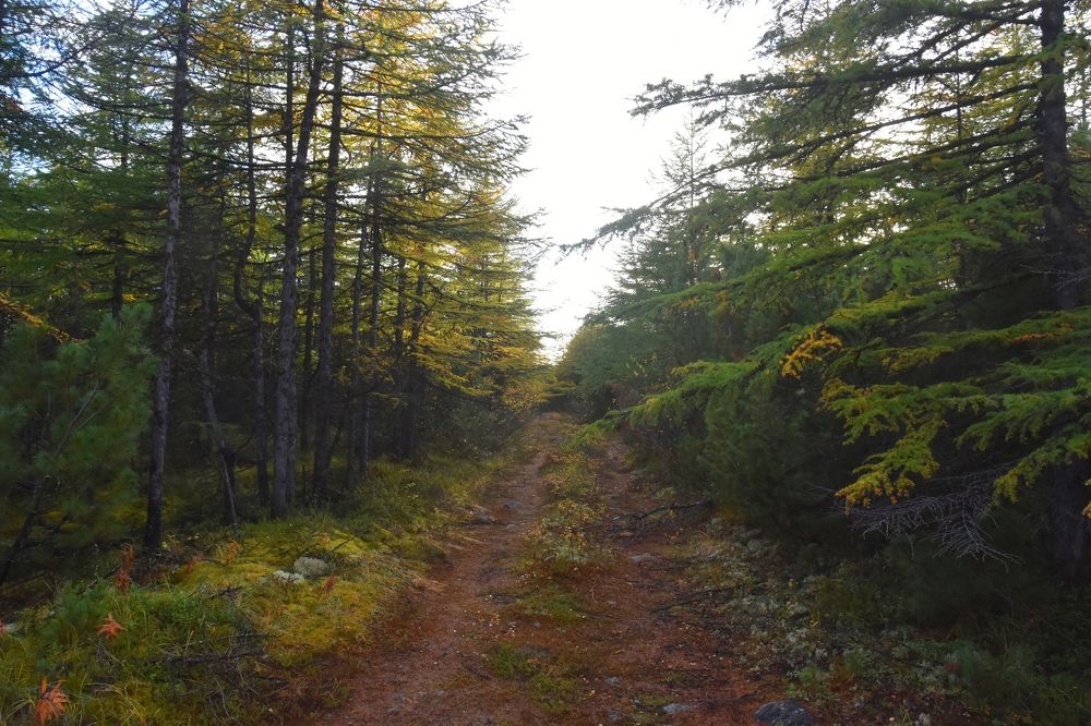 Photograph by Евгений Захаров