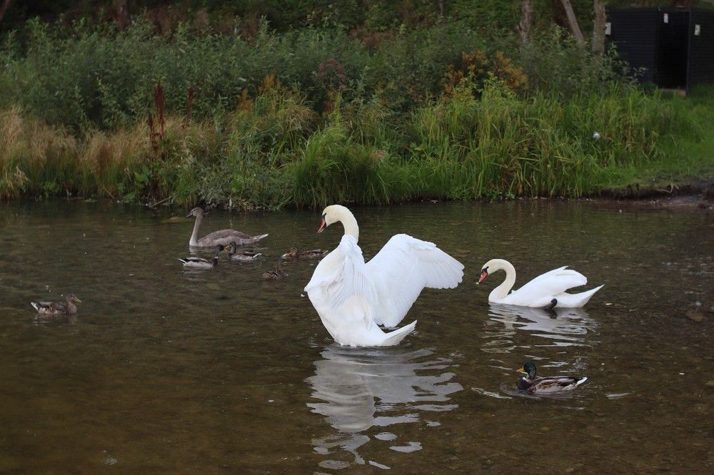 Photograph by Алена Марченко