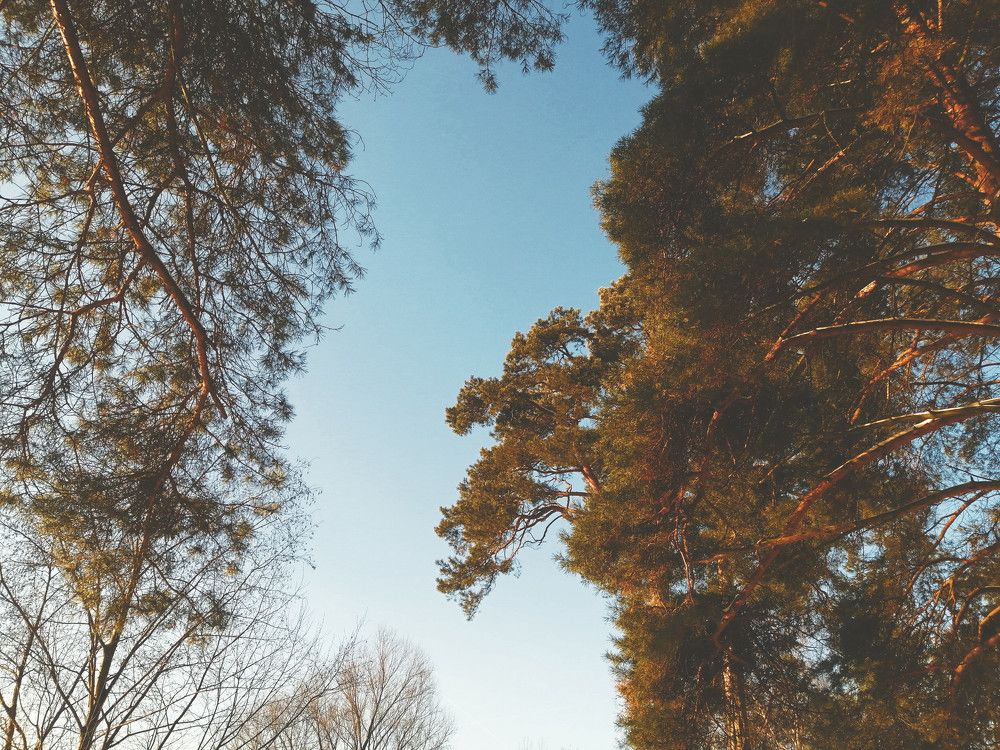 Photograph by Серафима Футлярова