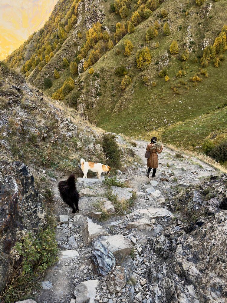 Photograph by Дмитрий Солодухин