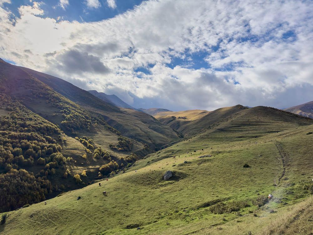 Photograph by Дмитрий Солодухин