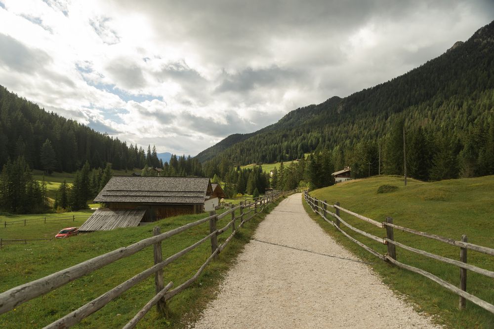 Photograph by Natalie Lamm