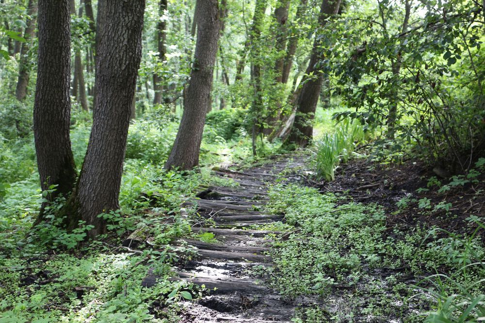 Фотография автора Олег Комарицкий