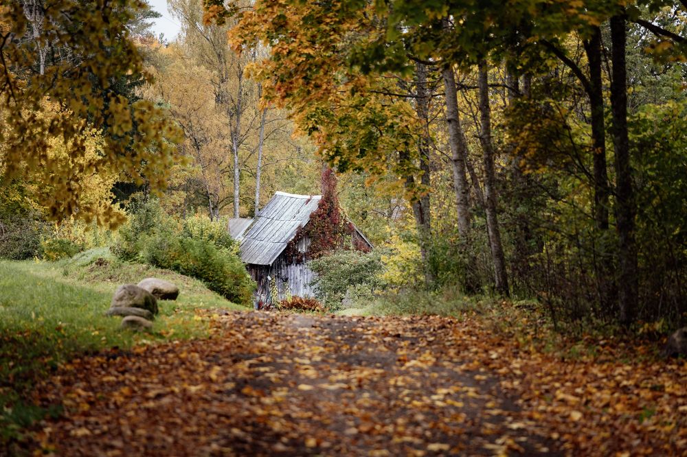 Photograph by Liga KALNINA