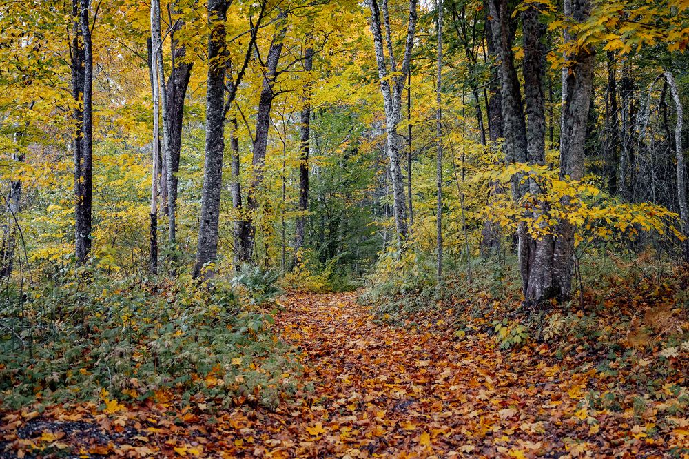 Photograph by Liga KALNINA