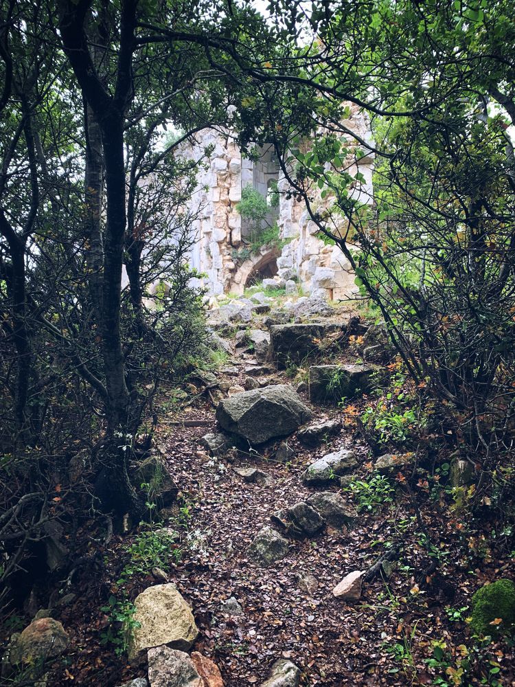 Photograph by Юлия Жолобова