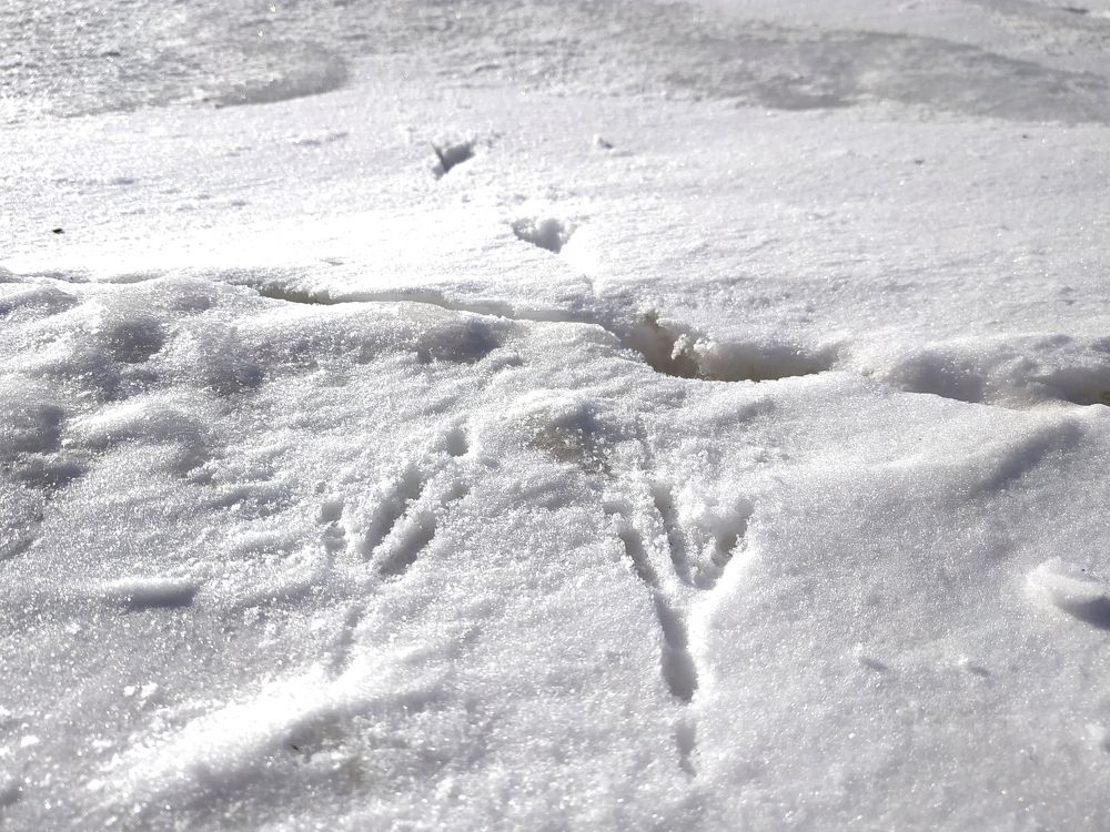 Взлёт / A flying-off