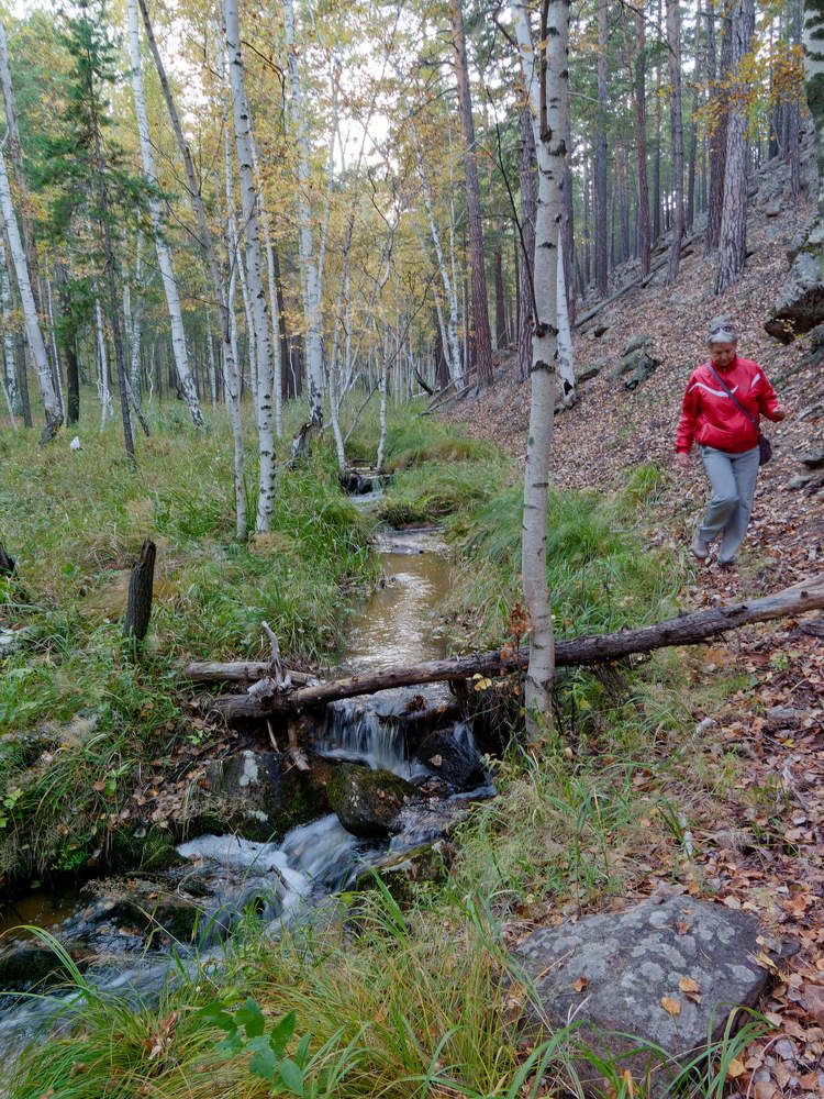 Photograph by Емельянов Евгений