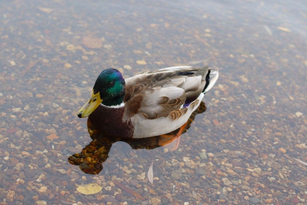 Photograph by Алена Марченко