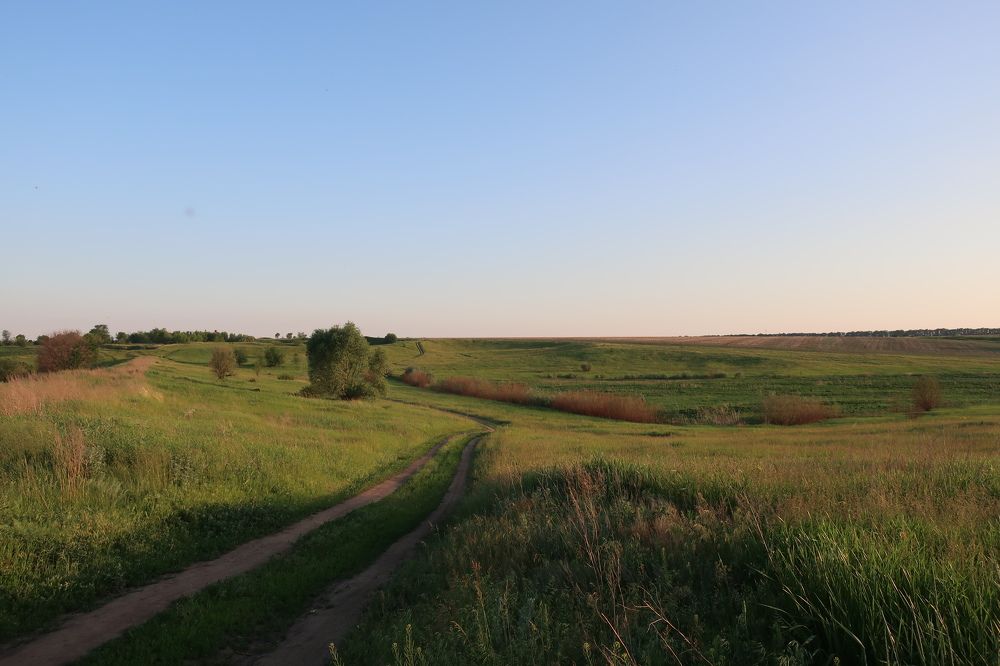 Photograph by Marianna Zakirova