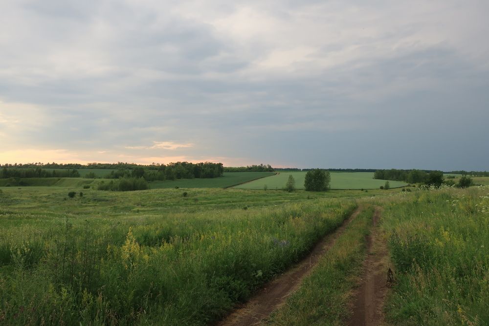 Photograph by Marianna Zakirova